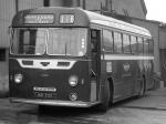 Commer-Harrington Contender 1955 года